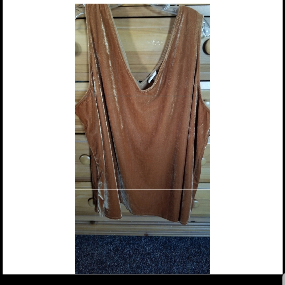 Ava & viv velvet/velour tank